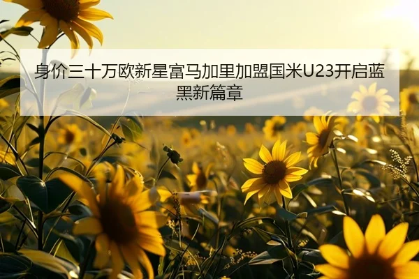 身价三十万欧新星富马加里加盟国米U23开启蓝黑新篇章